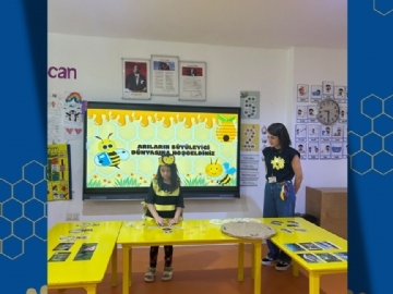 A project presentation on bees